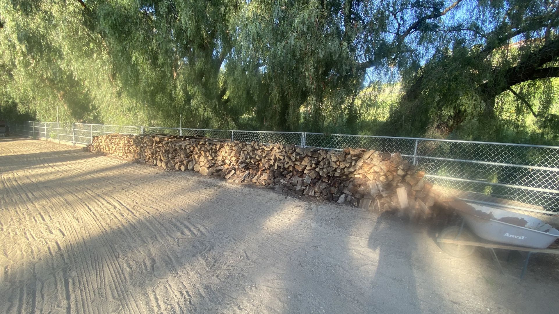 Firewood