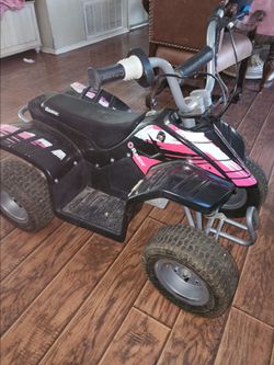 Quad rizer 24volt