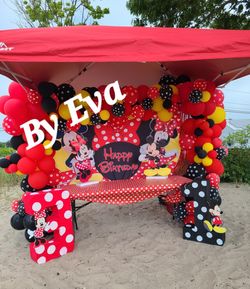 Balloon Garland And Backdrop