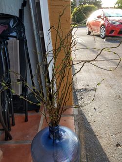 Decor $5