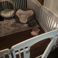 Frenchie Playpen 