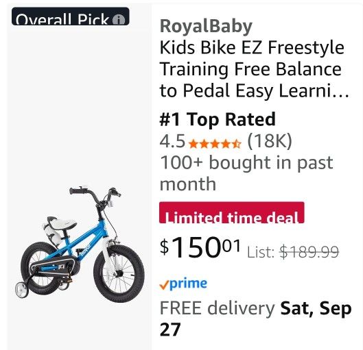 Royal Rider Kids Learning Bike