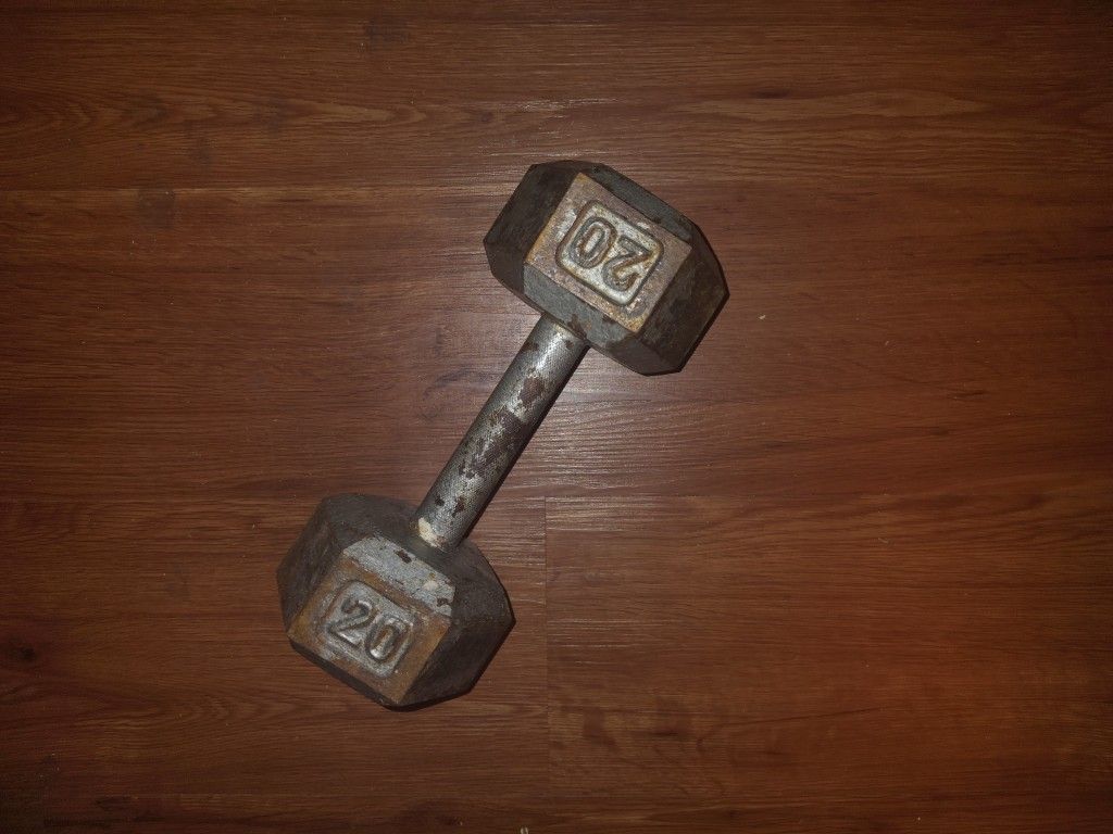 20lbs Dumbbell