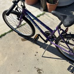 Diamond Back Mountain Bike