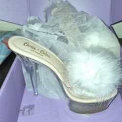 Women's Size 7 1/2 Shoe