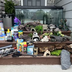 Fish Tank - Complete Set up And More 