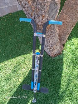 Air Zone Pogo Stick