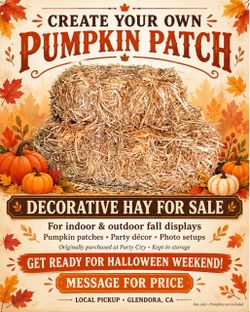 Decorative Hay for Pumpkin Patches & Halloween Displays 🎃
