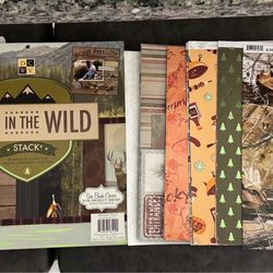 Scrapbooking huge paper lot!! 12x12 and 8x10