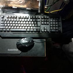 Iconic Keyboard And STGAUBRON Mouse