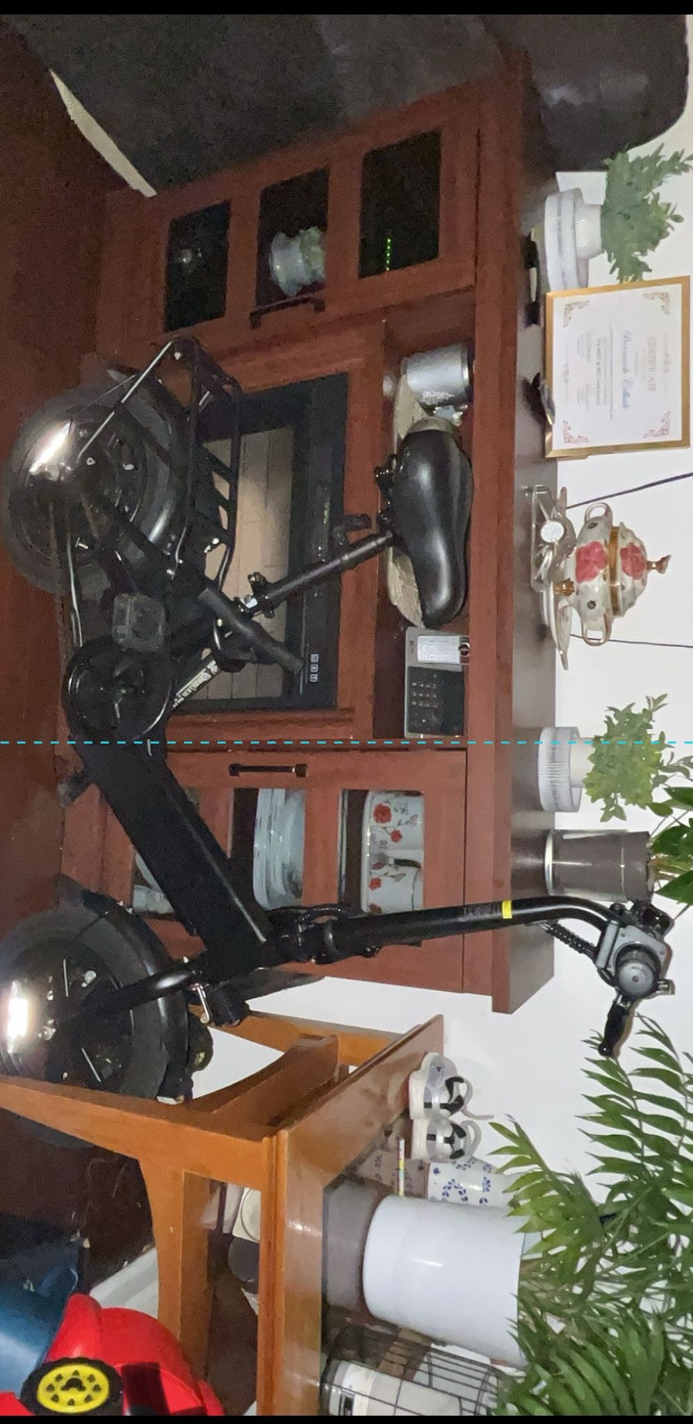 Electric Bikes