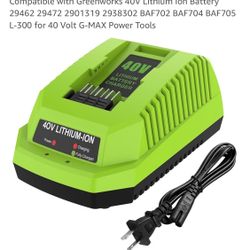 Replacement for Greenworks 40V Battery Charger Compatible with Greenworks 40V Lithium Ion Battery 292   BAF702 BAF704 BAF705 L-3