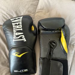 Everlast Elite Boxing Gloves – Training Gloves