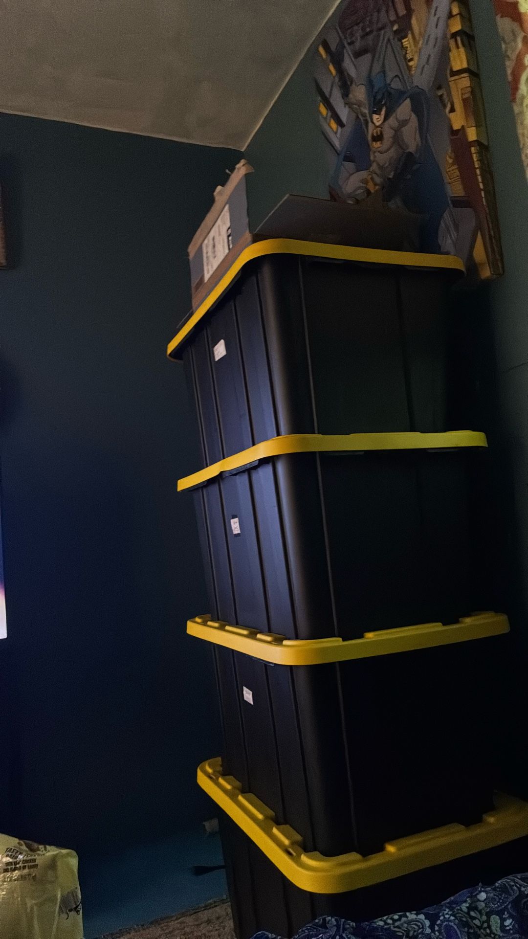 Storage Bins
