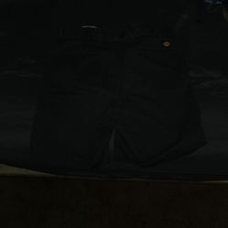 Dickies Men's Shorts
