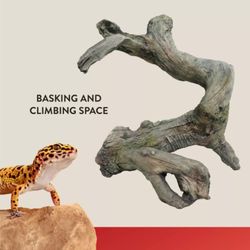 Thrive Driftwood Reptile Decor