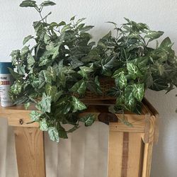 Artificial Plant, Very Nice, Good Size, Fake Plant