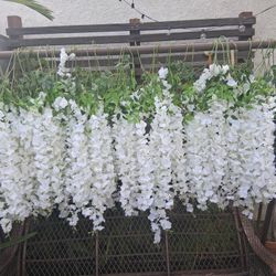 White Flowers