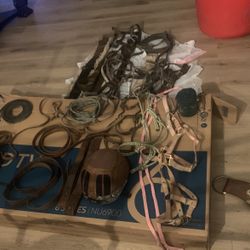 Horse Tack  Selling All100