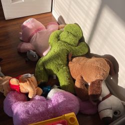 Stuffed Animals 