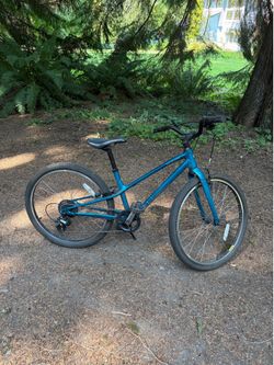 Specialized Jett