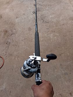 Cousins rod shimano torium fishing combo
