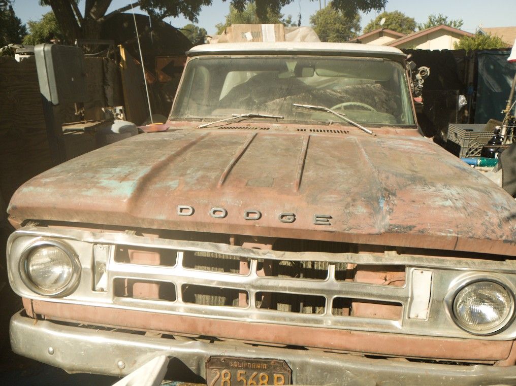 Dodge D100