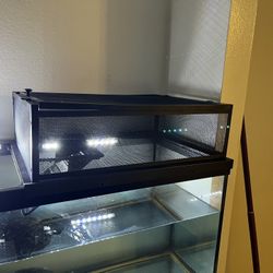 Turtle Basking Loft/area