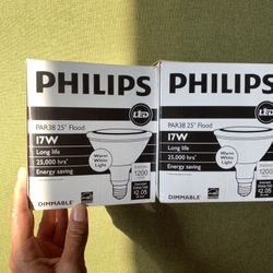 Flood Light (light Bulbs)