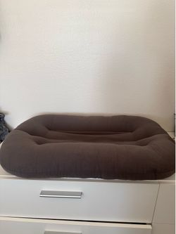 Baby lounger