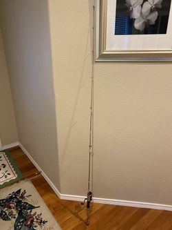 Fishing rod and reel