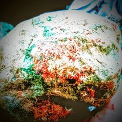 Unclassified Cephalopod Sea Snail Fossil 