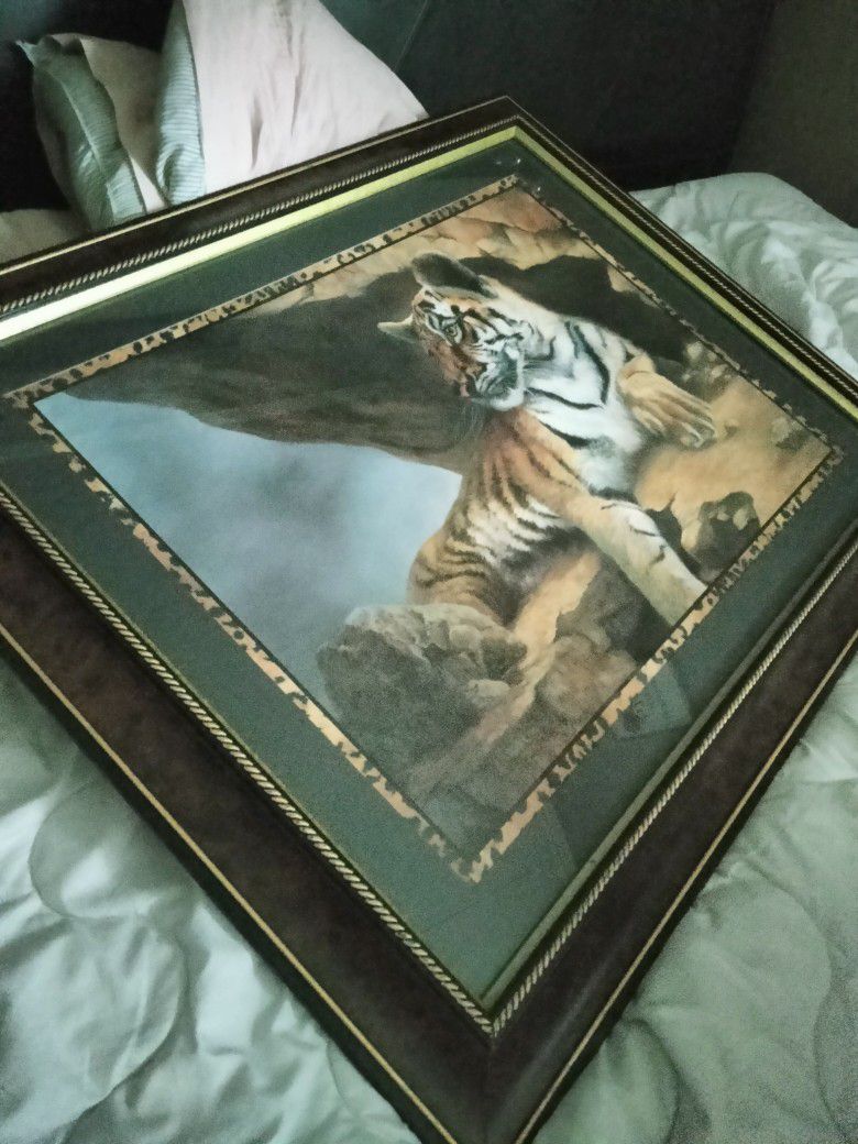 Tiger Picture And Frame From Home Interior Decorating 