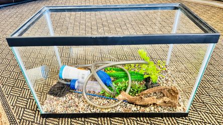 Glass Fish Tank with Accessories