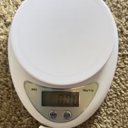 Kitchen Digital Weight Scale