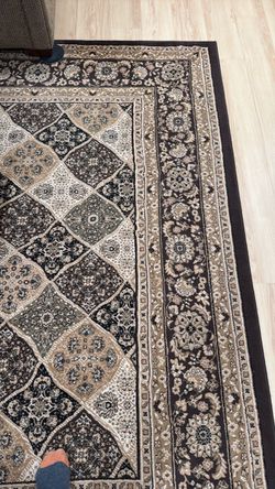 Area Persian Style Rug