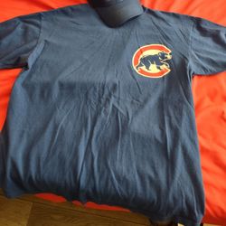 Cubs T-Shirt & Hat -$8