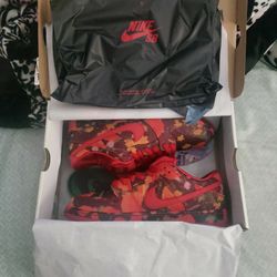 Nike SB Wizard Of Oz