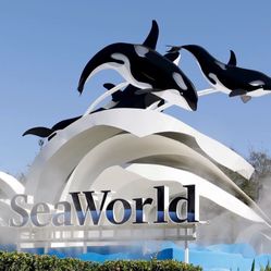 Three Sea World Tickets