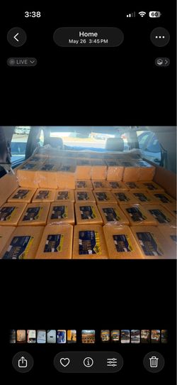 Esponjas //:: sponges
