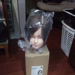 Manikin Headof these