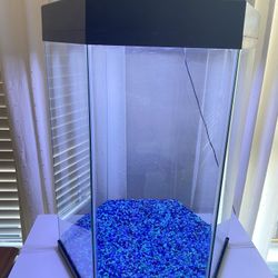20 Gallon Fish Tank With Lighted Hood & Accessories
