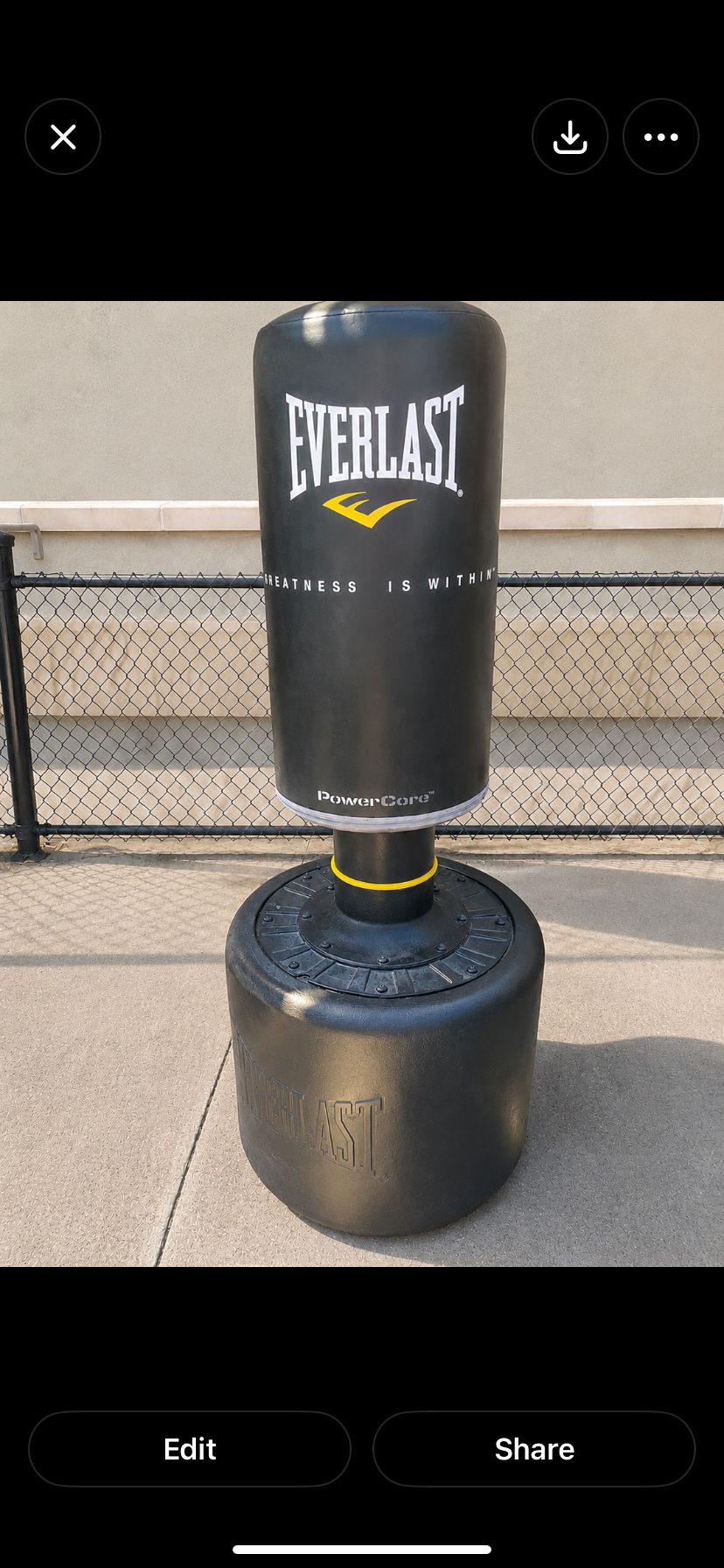Everlast Powercore Freestanding Heavy Bag