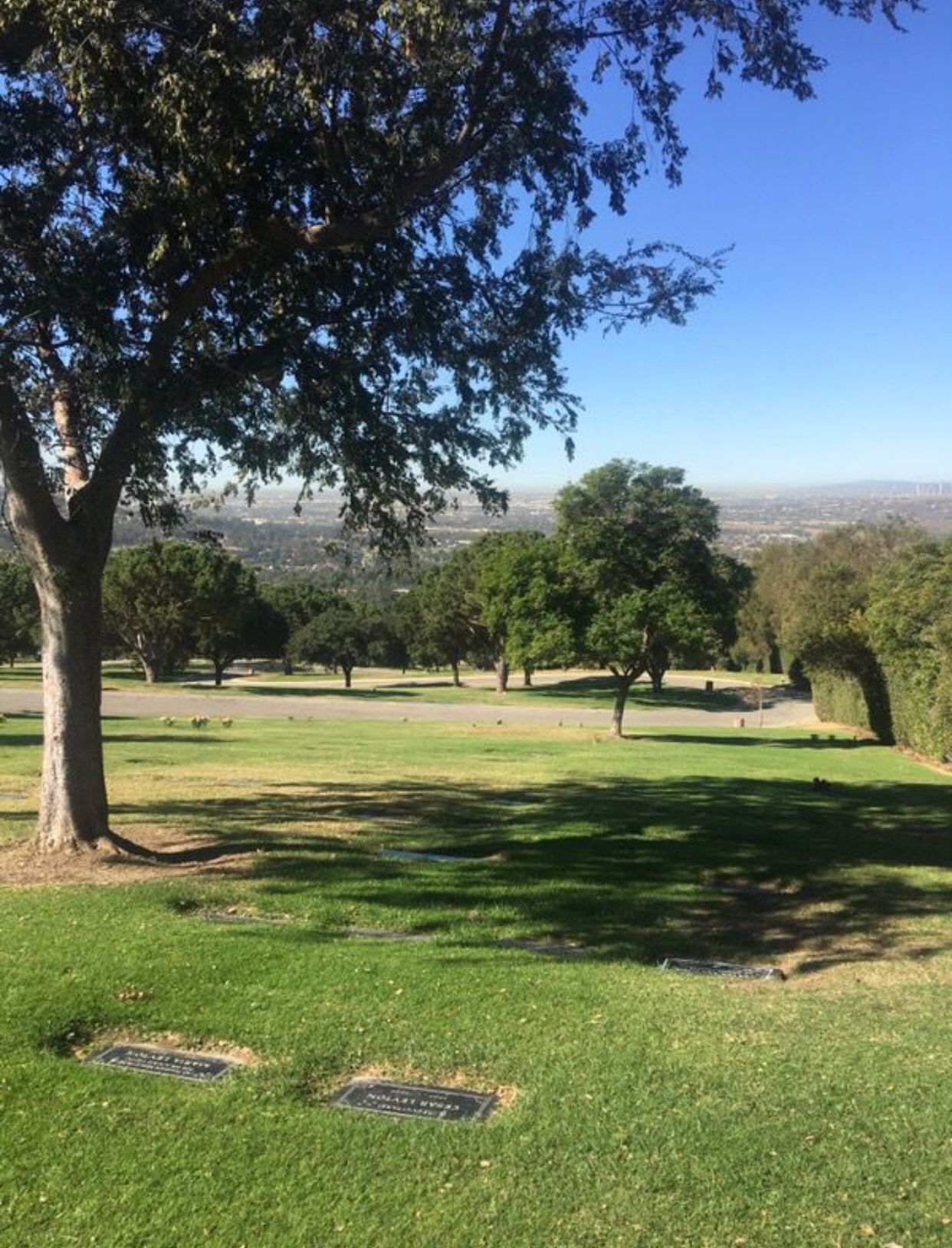 Rose Hills in Beautiful Trinity Lawn Burial Plot for Sale in Pico