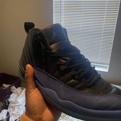 Jordan 12s