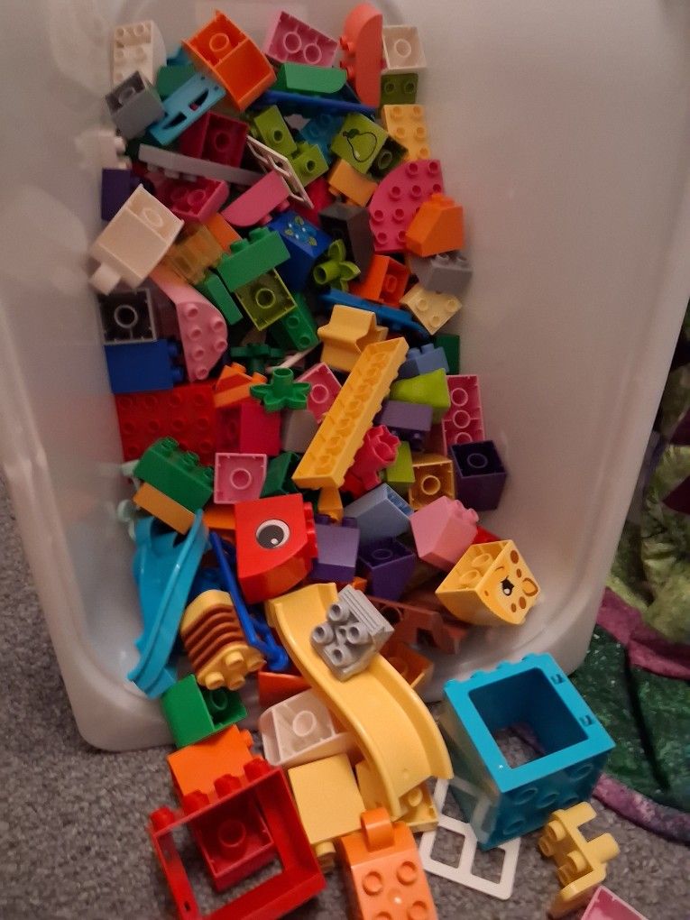 Duplo Lot