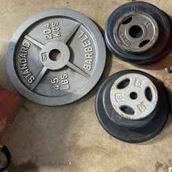 Weight Bench With Weights 