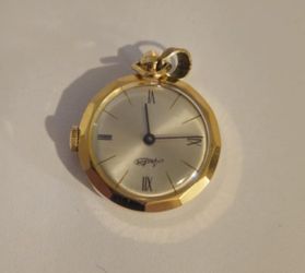 Arctos pocket watch