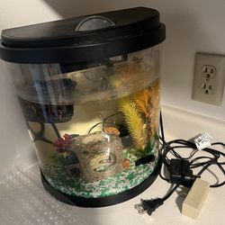 Fish Tank