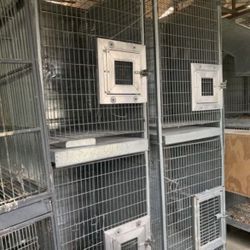 Breeder Cages 